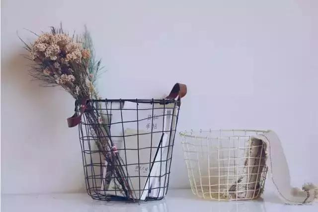 100元内红遍ins的创意收纳，我的家也要颜值爆表！