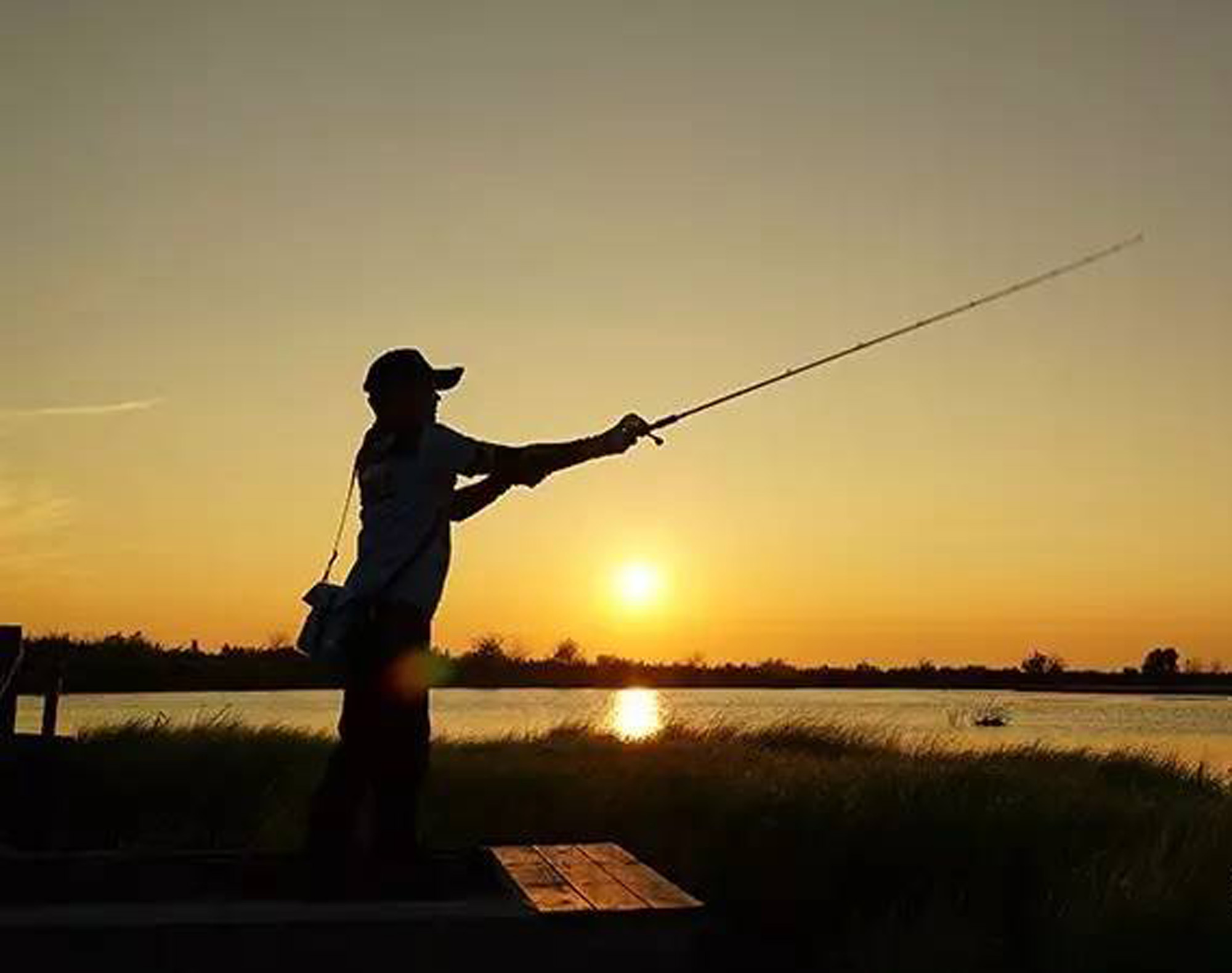 雷强纪录片完整版,雷强最好用的雷蛙