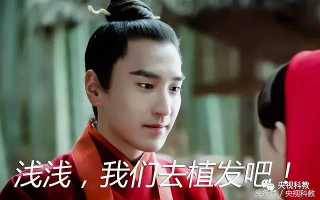 脱发如何调理才能快速长出头发,脱发没救了学会这几招轻松长头发