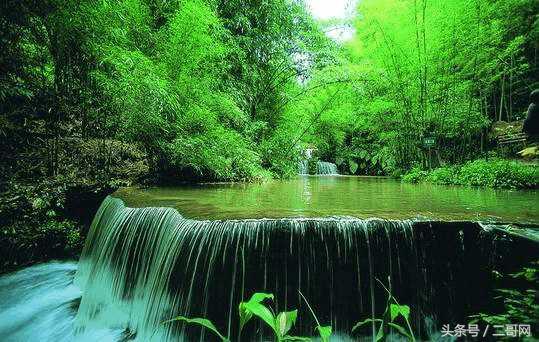 从身到心的清净！国内最美竹海你都去过吗？