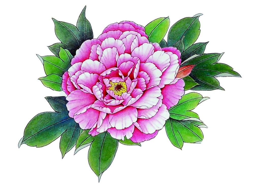 生活小妙招不收藏简直亏大了,酒精的妙用及生活小常识