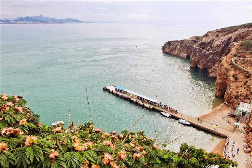 荣成海驴岛一年四季都有海鸥吗,国外海岛看海鸥