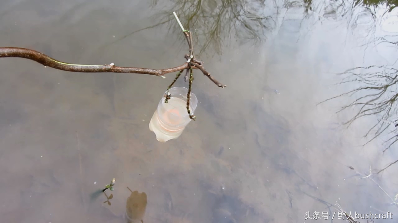 两种有效的野外捕鱼陷阱，抓不到鱼小编嫁给你！