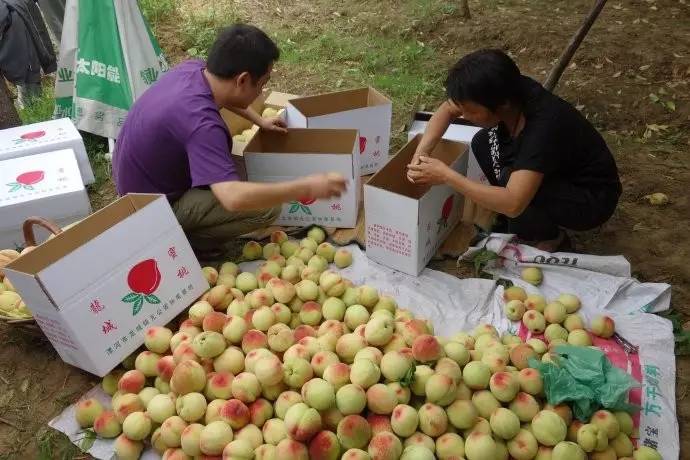 不是天生黑的被晒黑的怎么变白,不是天生黄皮怎样美白