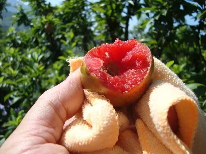 不是天生黑的被晒黑的怎么变白,不是天生黄皮怎样美白