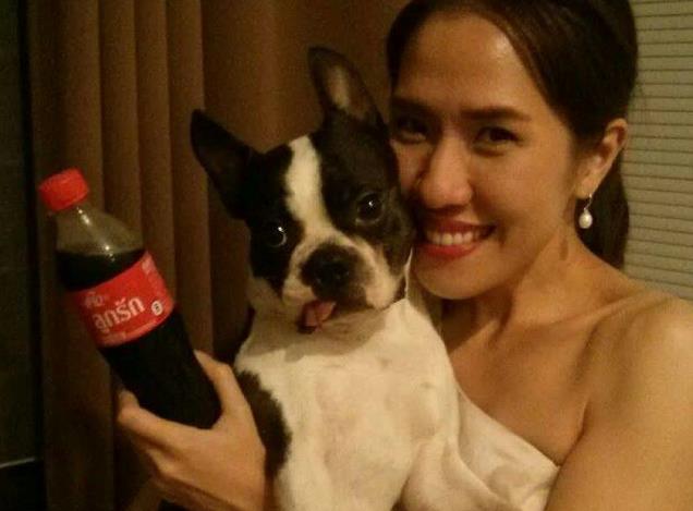 狗狗腿被车压骨头弯了怎么办,狗狗腿被车压了特别肿