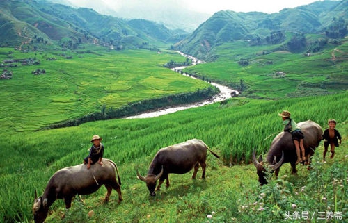 王维描写山水田园派的诗句,王维的山水田园诗摘抄