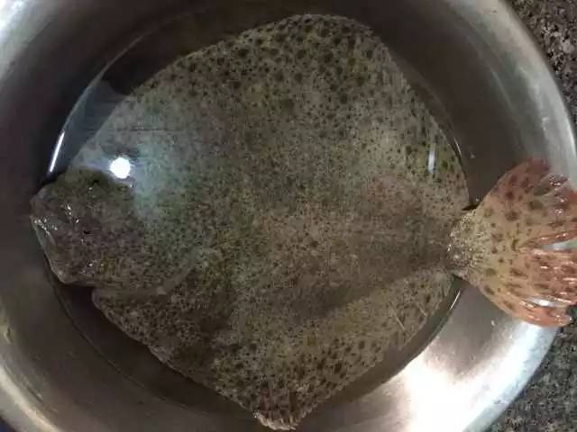 老饭骨清蒸多宝鱼的正宗做法,清蒸多宝鱼正宗做法王刚