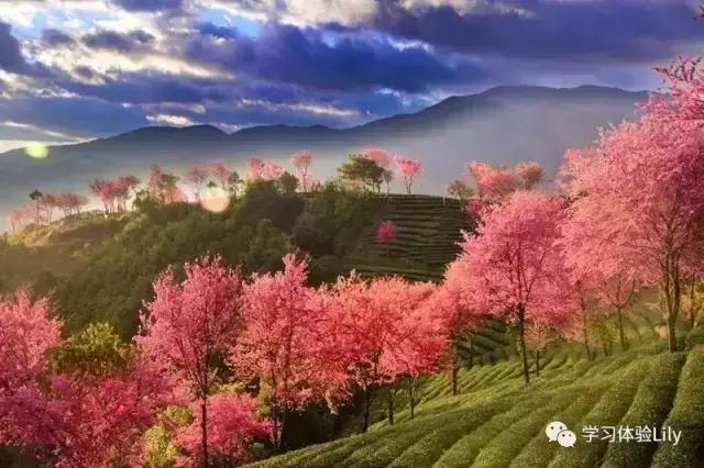 血汗钱是不是惯用语,血汗钱的意思是什么