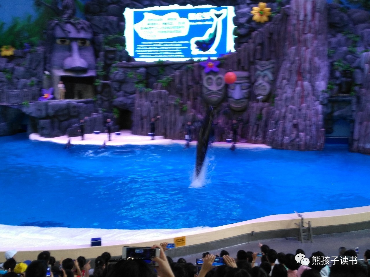 最近珠海长隆海洋王国一日游攻略,自驾游珠海长隆海洋王国一天游