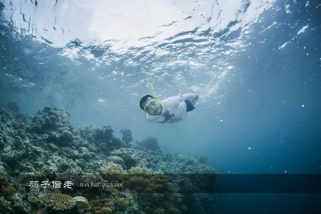 帕劳的旅游时长是多少,帕劳旅游找哪个旅行社
