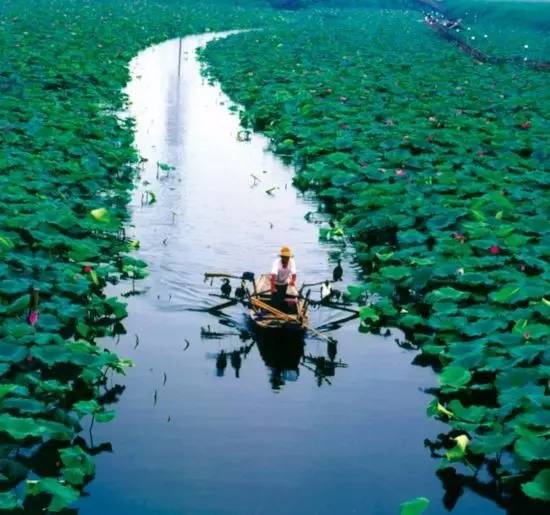 北京周边还有这么多山清水秀的地方？您早就该来一场美丽的邂逅！