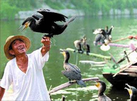 北京周边还有这么多山清水秀的地方？您早就该来一场美丽的邂逅！