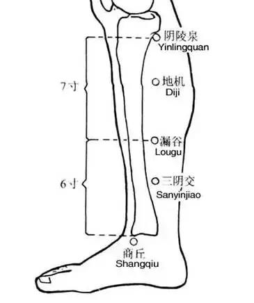 助女人怀孕的8种中药,有助于怀孕的小偏方