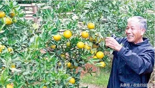 农村电商与农产品,农村电商与草根创业哪个好