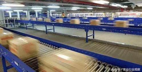 农村电商与农产品,农村电商与草根创业哪个好