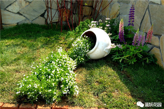 花一般是怎么养死的,养花新手必须知道的事