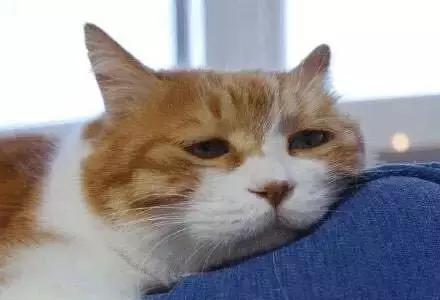 丧文化再度来袭,丧文化