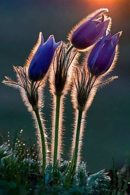 轻学教育靠谱吗,轻学教育抖音靠谱吗