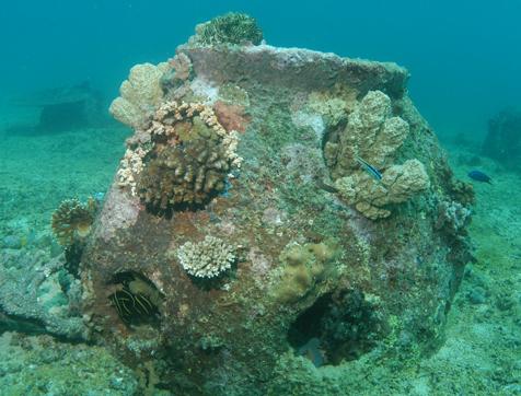 最新的环保葬法,世界上最无污染的处理遗体的方法