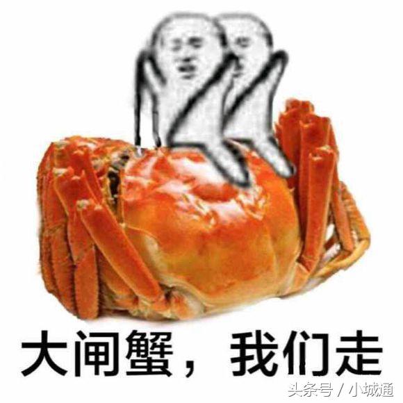 盘点网络上那些梗原版,网络上的那么多梗都是哪来的