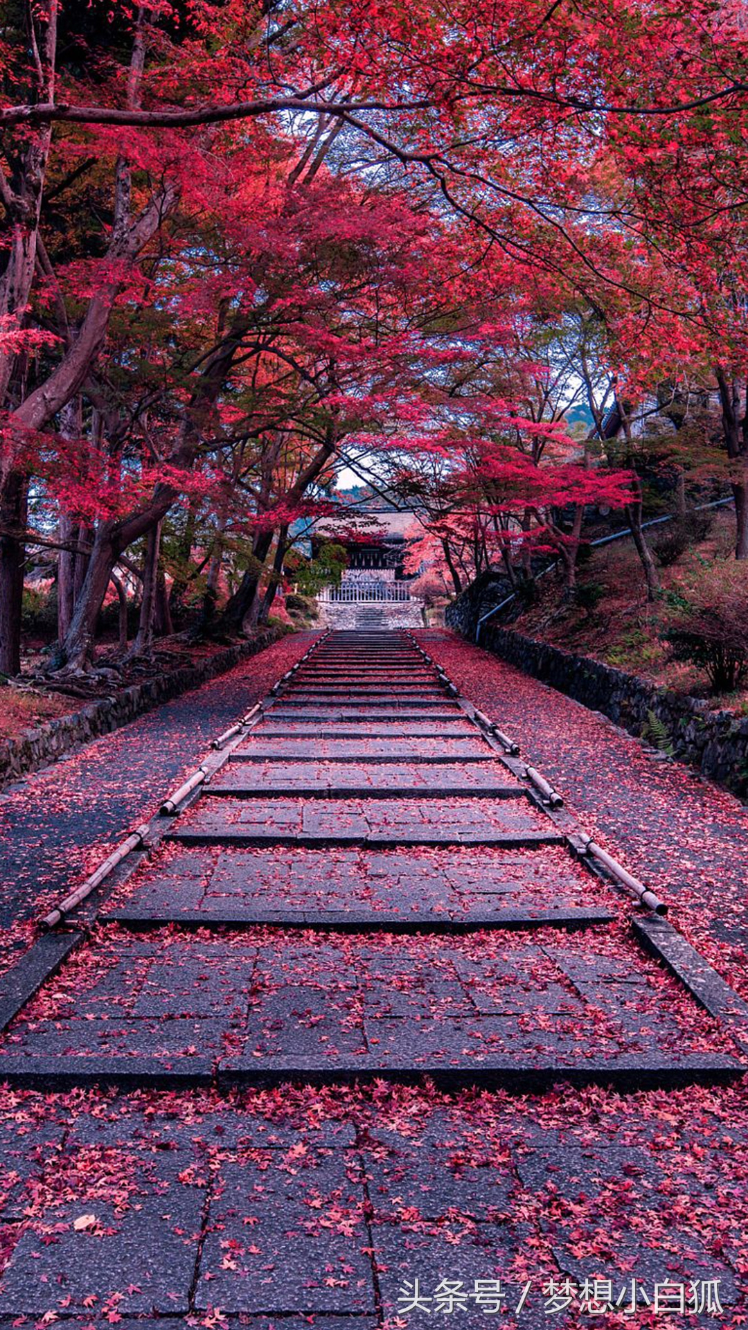 ps小知识常用快捷键,常用ps的实用快捷键