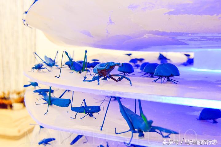 住赏气质喆啡,一辆复古老爷车把你接到咖啡馆的家