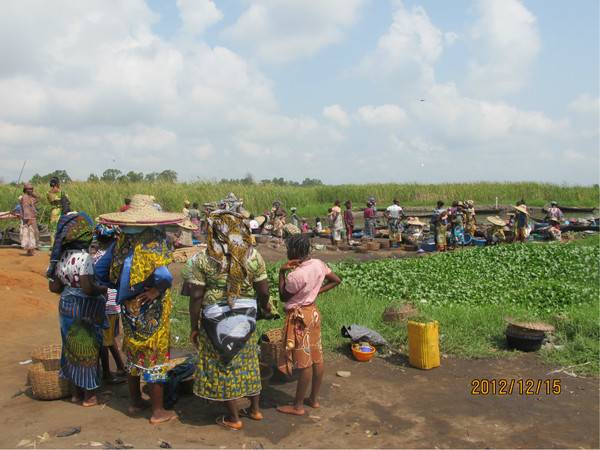 贝宁共和国概况及农业情况简介