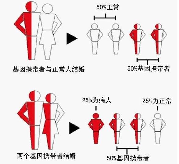 刚怀孕能检查胎儿有地中海贫血吗,怀孕地中海贫血对胎儿有什么影响