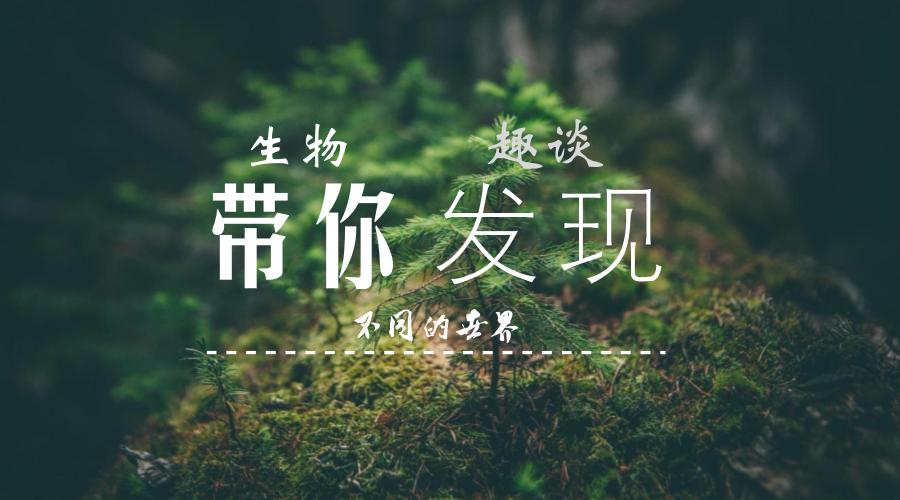 解析Nature重大突破！如何利用奶牛快速产生HIV通用型中和抗体