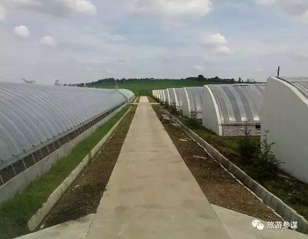 2017年梅花鹿节举办,长春双阳梅花鹿节