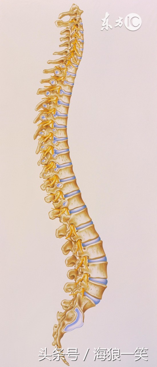 学习健身气功六字诀心得体会,练习太极拳膝盖疼怎么办