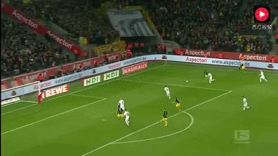 足坛人物志马尔科罗伊斯,马尔科罗伊斯个人资料