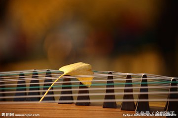 琴弦断了一根怎么补救箜篌,琴弦断了旧知音