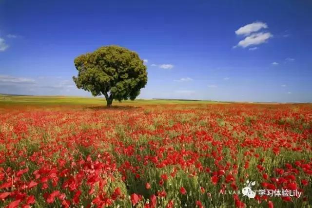 血汗钱是不是惯用语,血汗钱的意思是什么