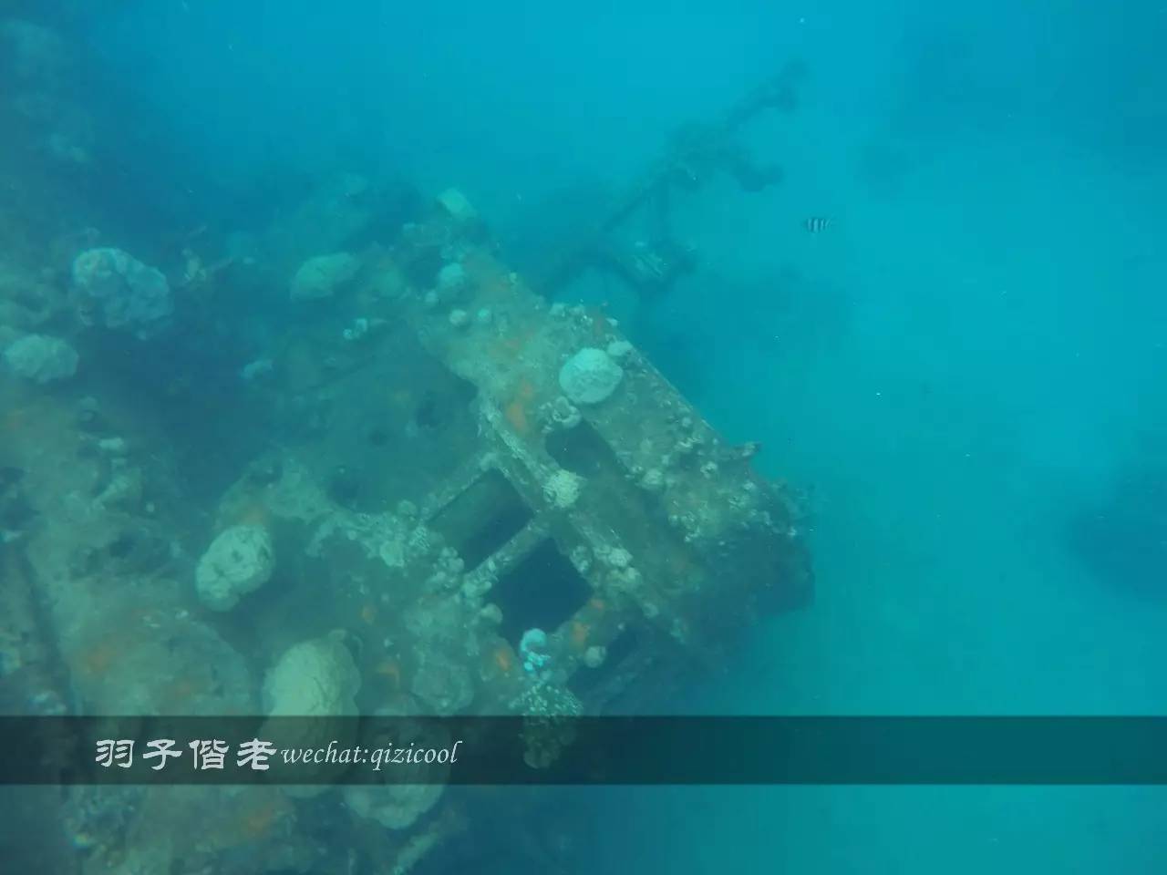 帕劳的旅游时长是多少,帕劳旅游找哪个旅行社