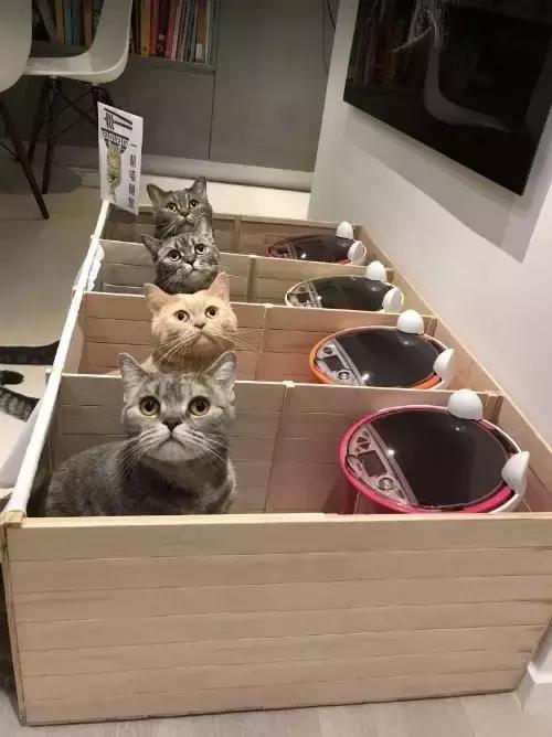 爆笑皮卡丘变形,爆笑皮卡丘韩国