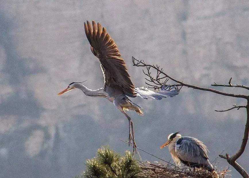 北京周边还有这么多山清水秀的地方？您早就该来一场美丽的邂逅！