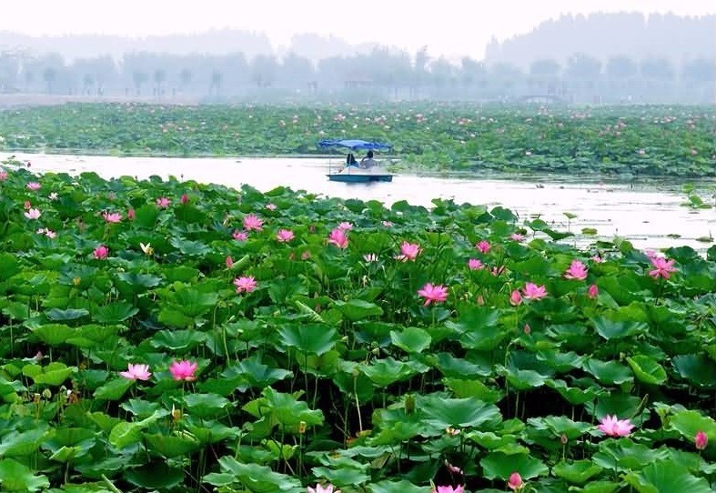 北京周边还有这么多山清水秀的地方？您早就该来一场美丽的邂逅！