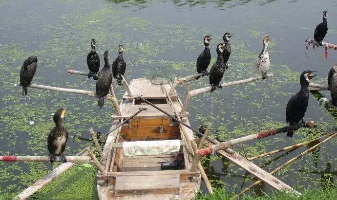 北京周边还有这么多山清水秀的地方？您早就该来一场美丽的邂逅！