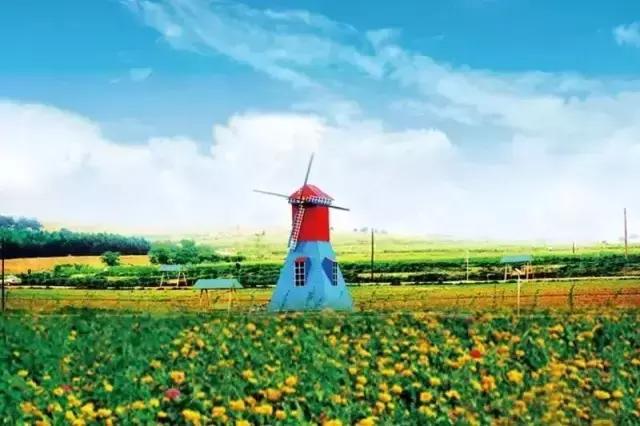 各个地方的特色美景美食,这些地方景色美食都不容错过