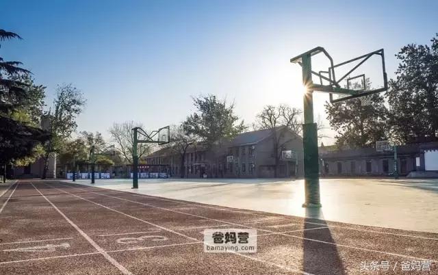 黄多多和李嫣谁有楷模,李嫣黄多多年收入