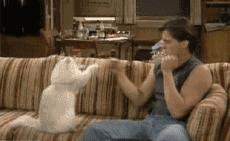 丧文化再度来袭,丧文化