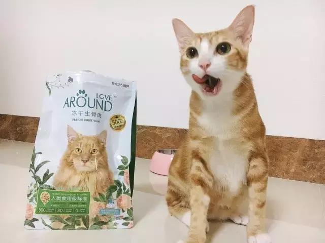 丧文化再度来袭,丧文化