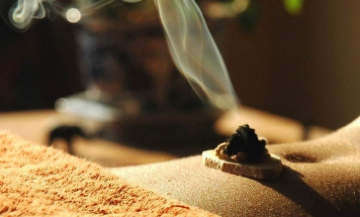 “家有三年艾,郎中不用来”,原来艾叶这么牛!