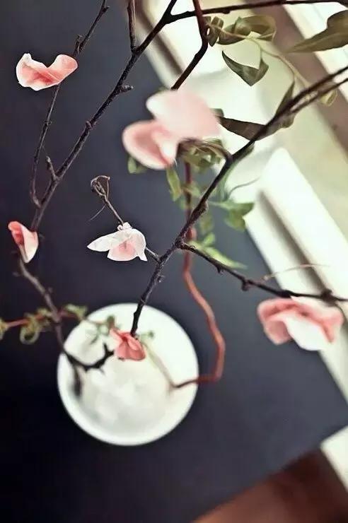 何以解忧唯有心静,何以解夏忧