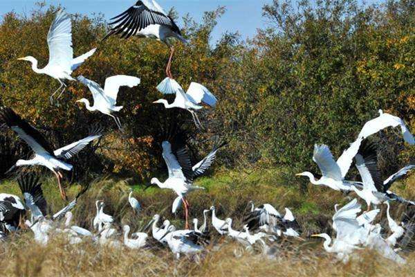 黑龙江位置,黑龙江最好的四线城市