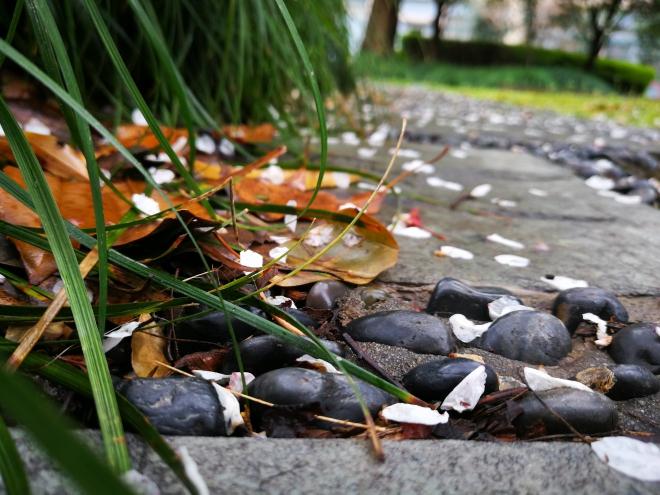 华为p10和华为p10plus有什么区别,华为p10plus人像摄影