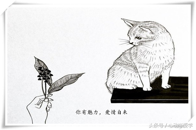 表白被拒怎么起死回生,表白失败如何快速振作起来