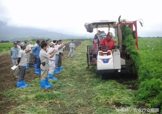 日本农业靠什么赚钱,日本农业经营模式